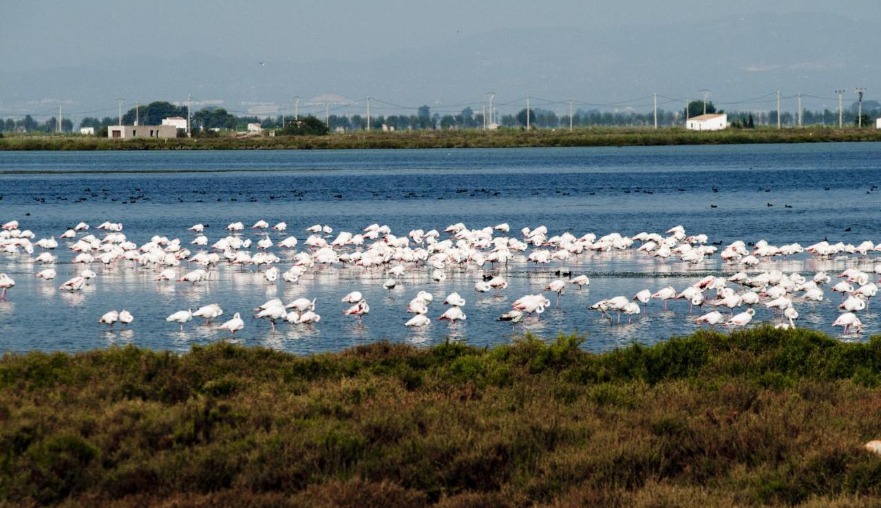 Los Pelicanos Miami Playa Εξωτερικό φωτογραφία